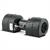 SPAL 008-B54-02 24V 3-speed