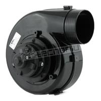 SPAL 001-A53-03S 12V 1-speed